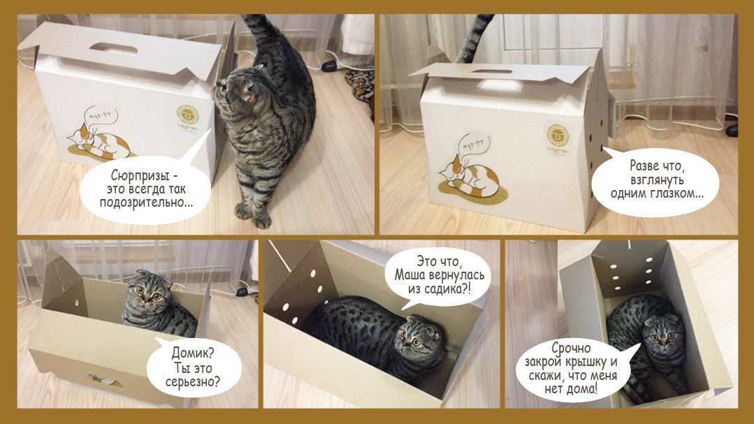 Переноска для кошек "Котомобиль"